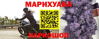тгк Будённовск