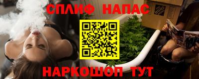 гашик Бузулук